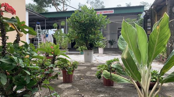 upload/1001012/20230724/khuon_vien_cay_xanh_3_1b747c00b7.jpg