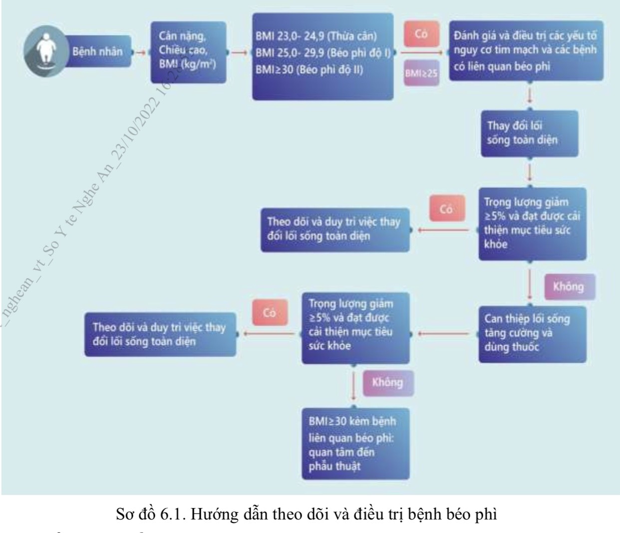 Hướng dẫn theo dõi và điều trị bệnh béo phì